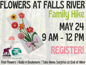 Flowers at Falls Riv